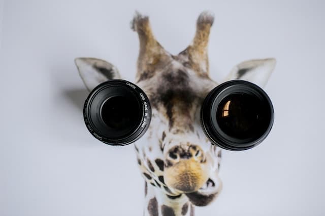 De voor- en nadelen van contactlenzen: wat moet je weten?
