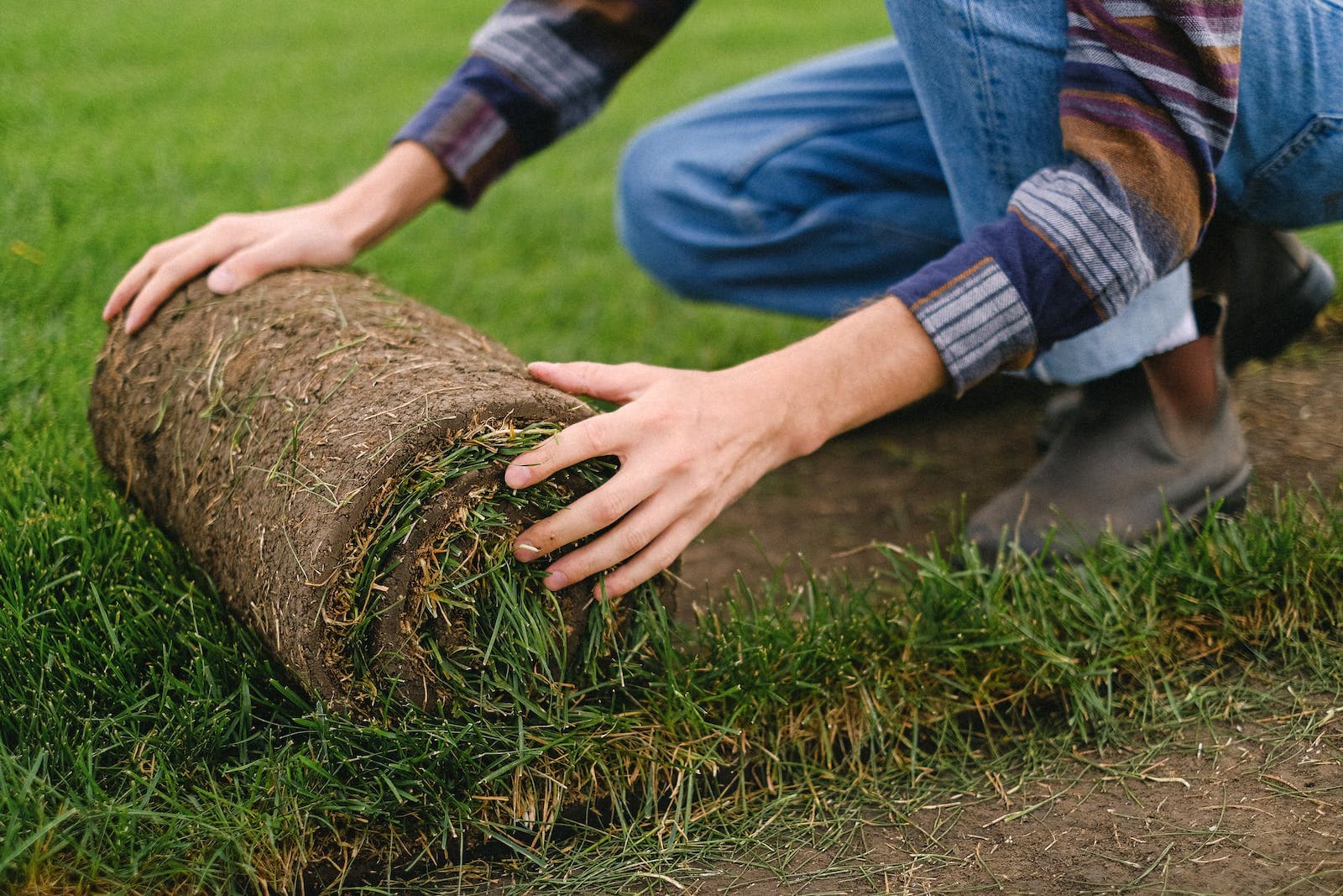 Man die gras aanlegt met een grasmat vanaf de zijkant