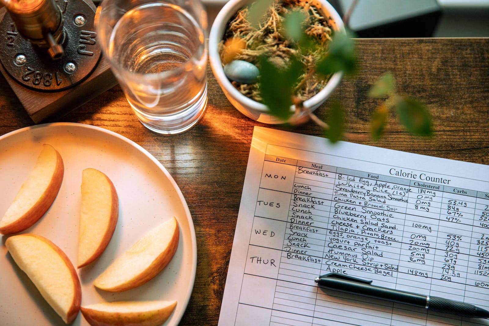foto van iemand die een papier invult met de ingenomen calorieën, ernaast een plant en gesneden appelpartjes