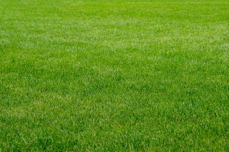 kunstgras versus echt gras nadelen en voordelen