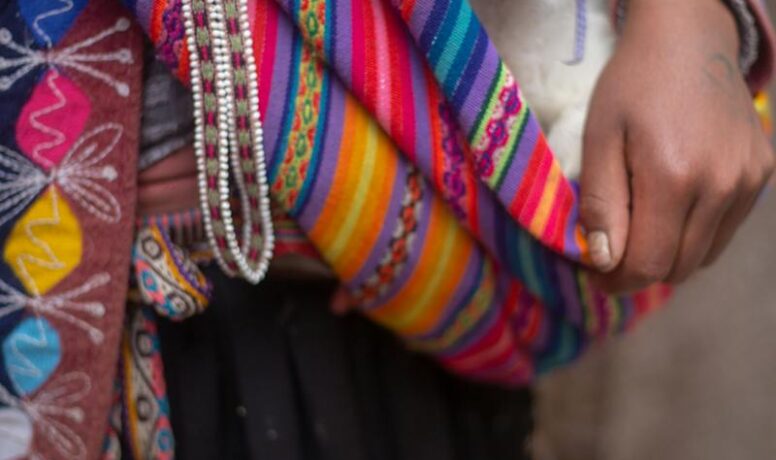 Person Carrying An Alpaca