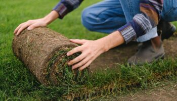 Man die gras aanlegt met een grasmat vanaf de zijkant