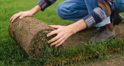 Man die gras aanlegt met een grasmat vanaf de zijkant