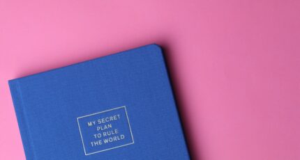 My Secret Plan to Rule the World Book