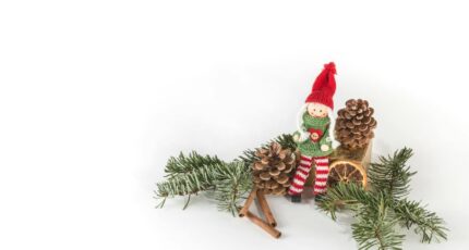 Kerstpoppetje op een tak