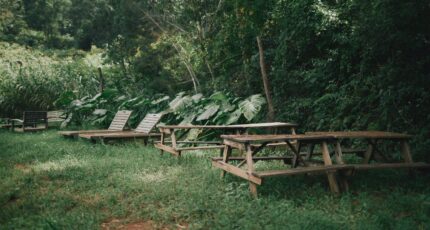 foto van een tuin op het noordwesten