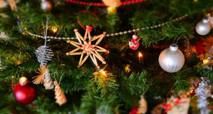 Close-up of Christmas Decoration Hanging on Tree