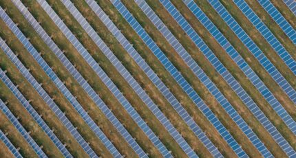 Heel veld met zonnepanelen die groene energie opwekken