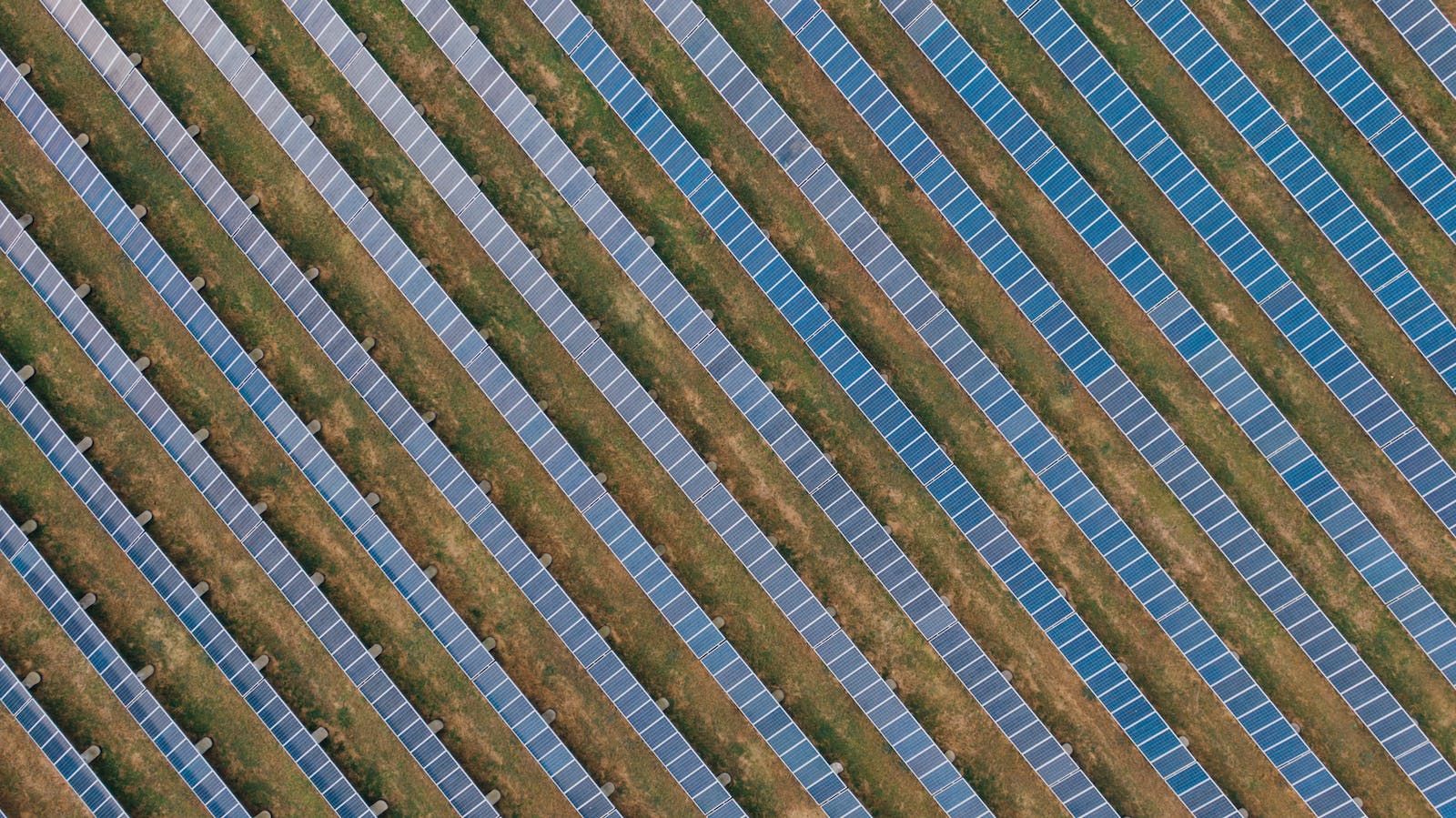 Heel veld met zonnepanelen die groene energie opwekken