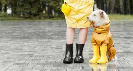 een hond zit in een gele regenjas naast een persoon met gele regenlaarzen