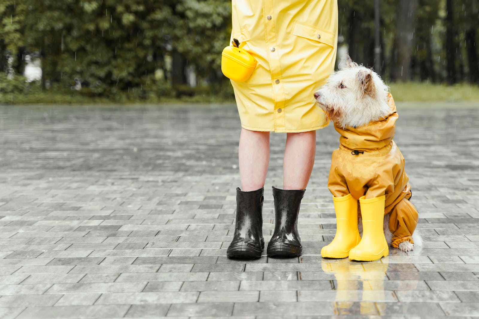 een hond zit in een gele regenjas naast een persoon met gele regenlaarzen