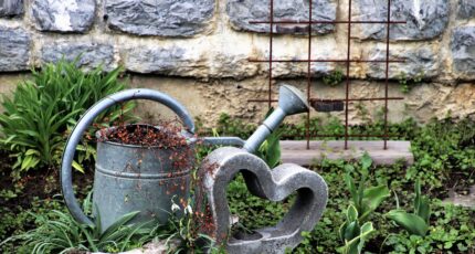 Tuin met stenen muur en een gieter