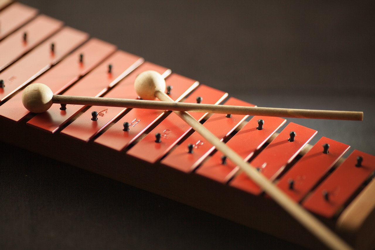 Een close-up foto van een xylofoon
