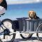 een hond in een fietskar, kijkend in de camera, op het strand
