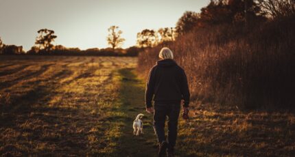 Een man laat een hondje uit zonder riem