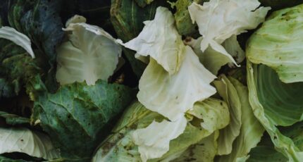 Koolbladeren