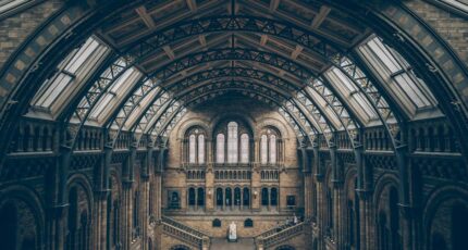 Empty Cathedral