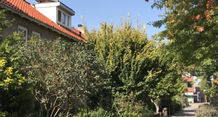 Zonneboiler op een dak