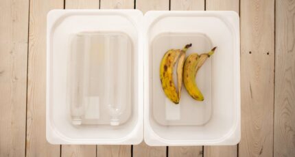 een aparte afvalbak voor groente en fruit