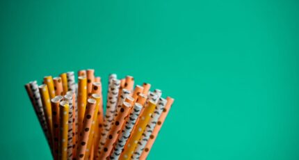 papieren rietjes voordelen en nadelen