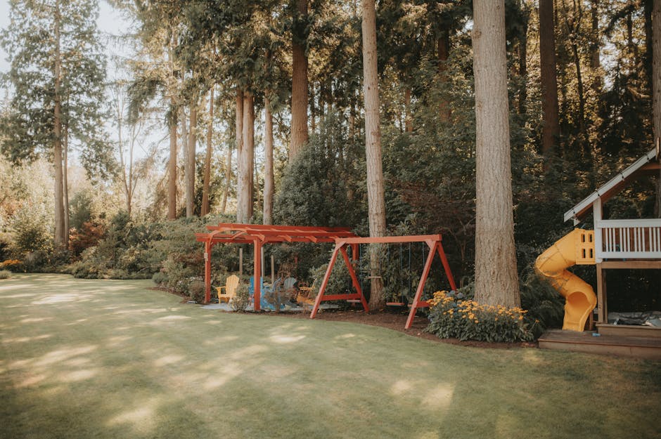 foto van een speeltuin met schommel