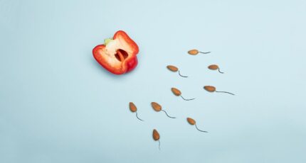 voordelen en nadelen van spermadonor