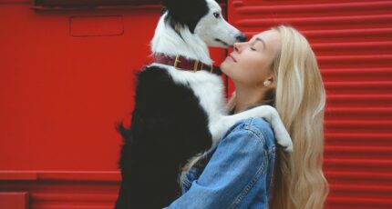 voordelen en nadelen van blind vertrouwen